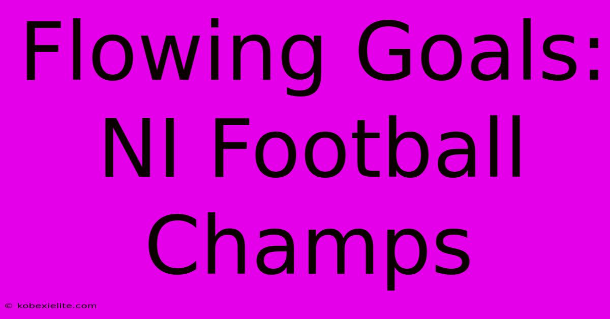 Flowing Goals: NI Football Champs