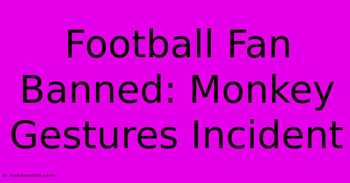 Football Fan Banned: Monkey Gestures Incident