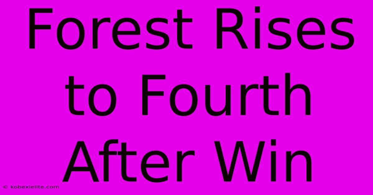 Forest Rises To Fourth After Win Forest Rises To Fourth After Win