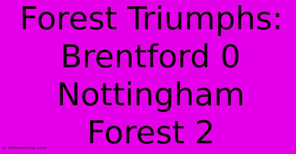 Forest Triumphs: Brentford 0 Nottingham Forest 2