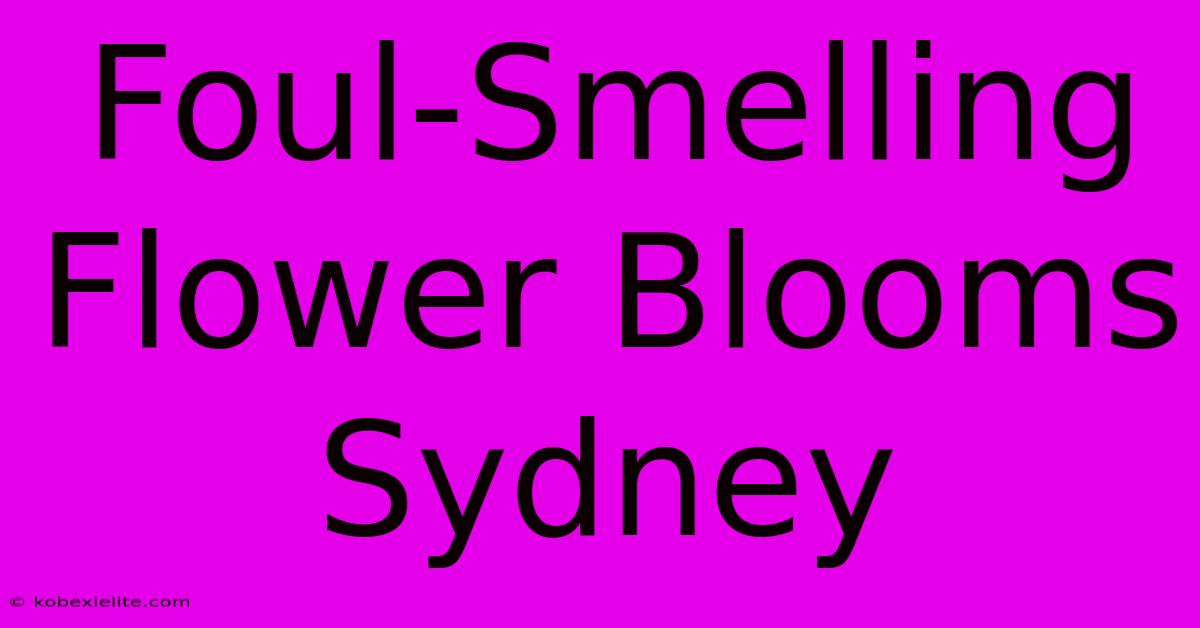 Foul-Smelling Flower Blooms Sydney