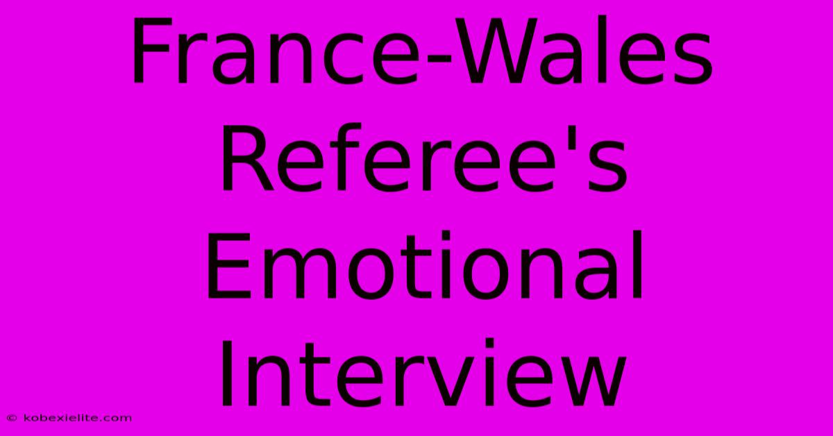 France-Wales Referee's Emotional Interview