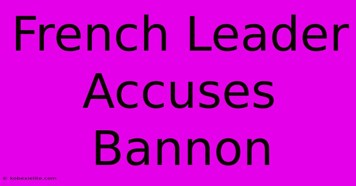 French Leader Accuses Bannon