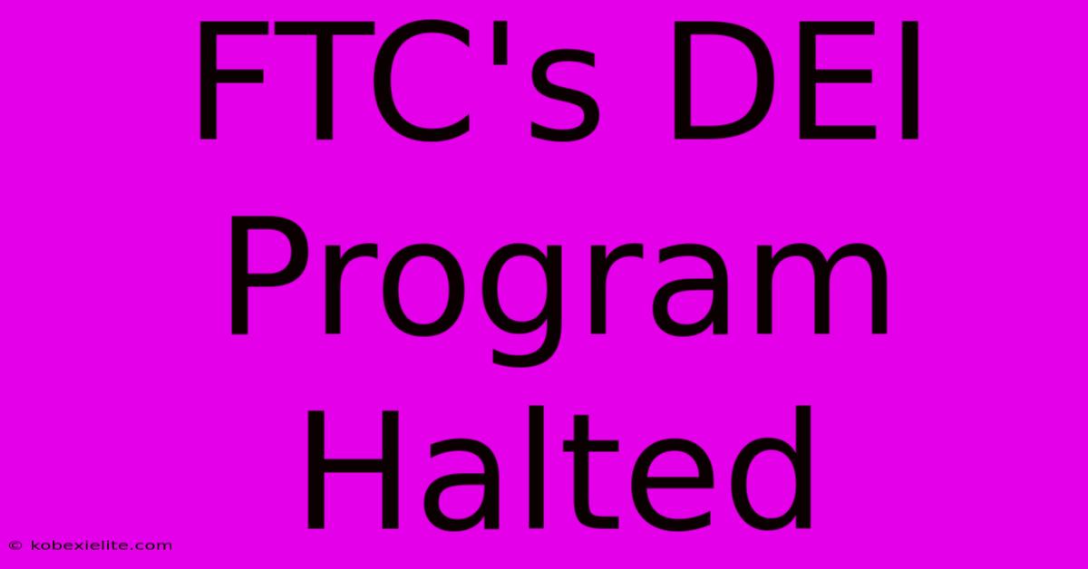 FTC's DEI Program Halted