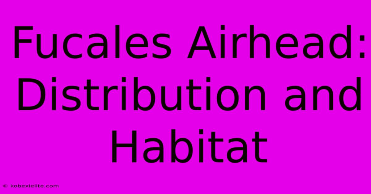 Fucales Airhead: Distribution And Habitat