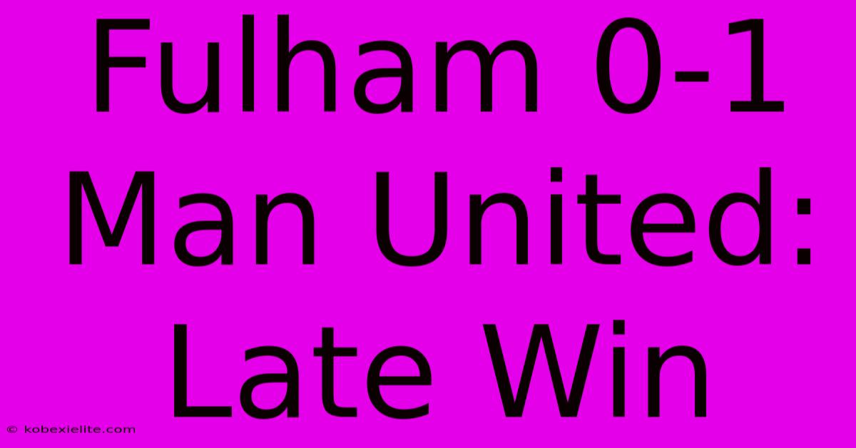 Fulham 0-1 Man United: Late Win