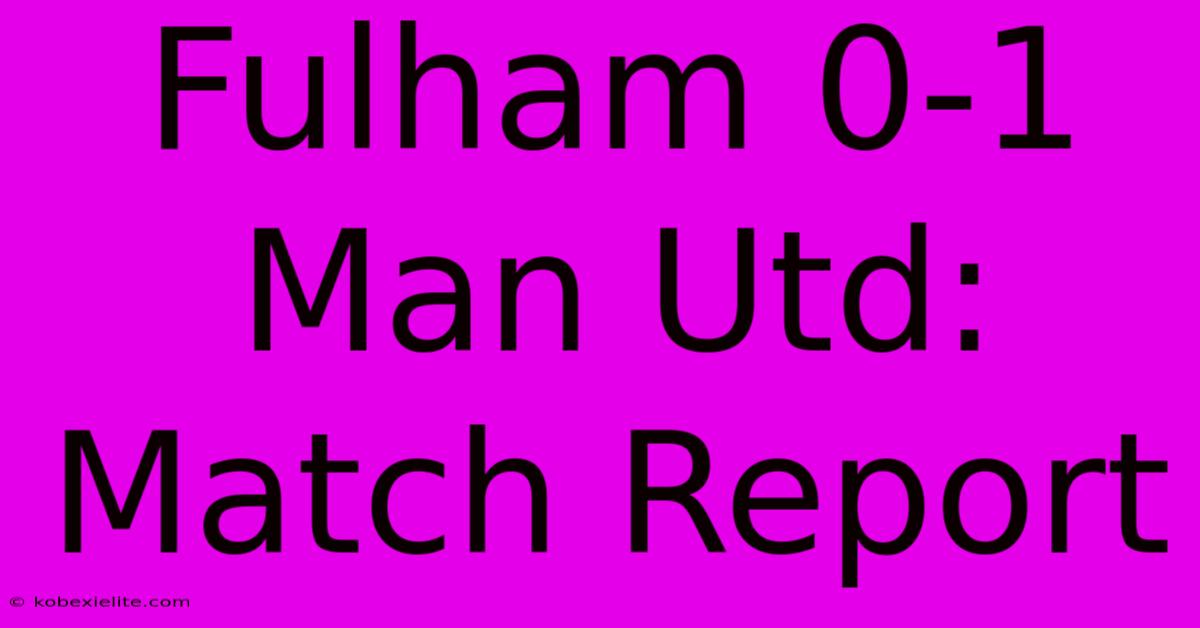 Fulham 0-1 Man Utd: Match Report