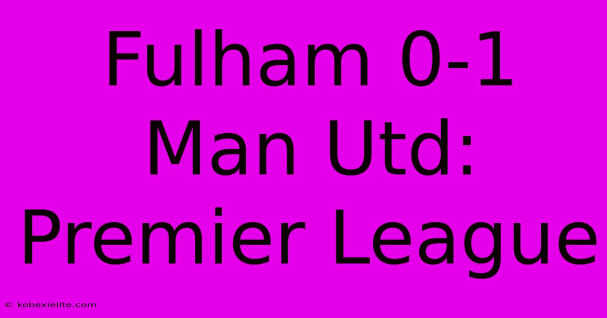 Fulham 0-1 Man Utd: Premier League