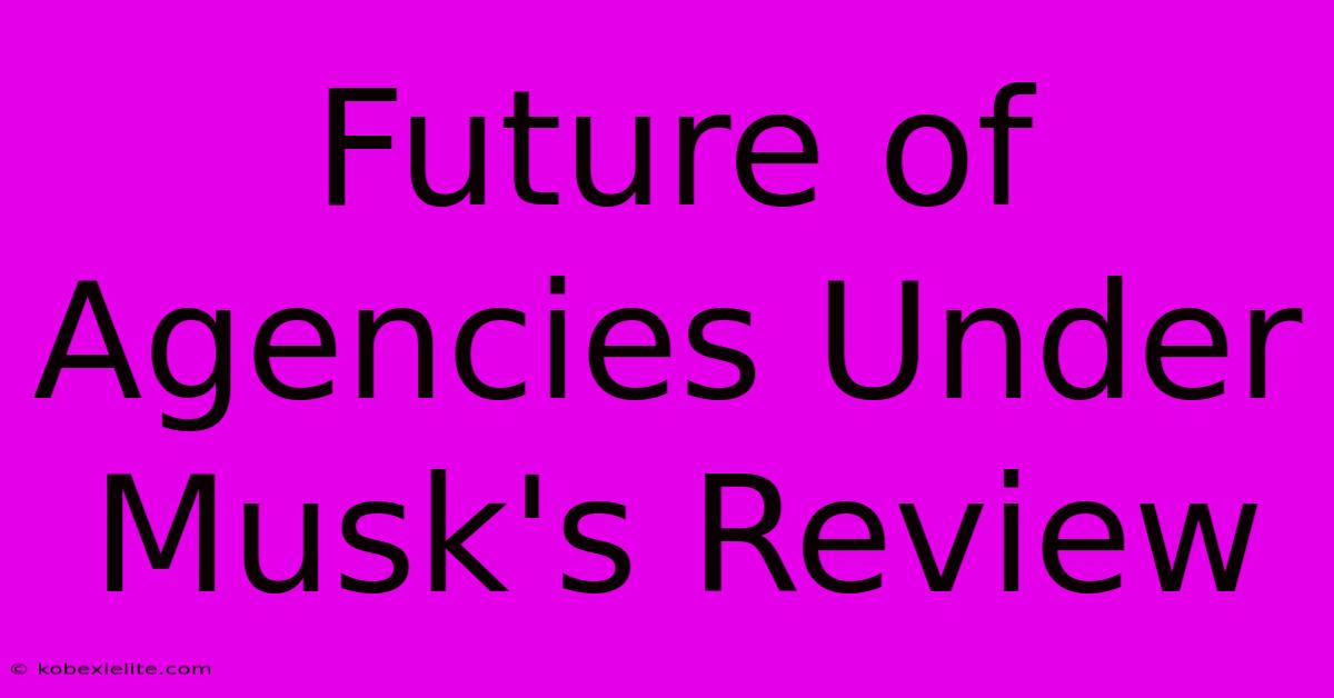 Future Of Agencies Under Musk's Review