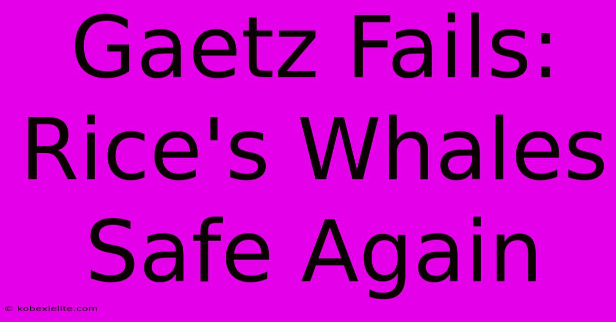 Gaetz Fails: Rice's Whales Safe Again