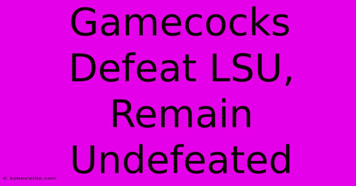 Gamecocks Defeat LSU, Remain Undefeated