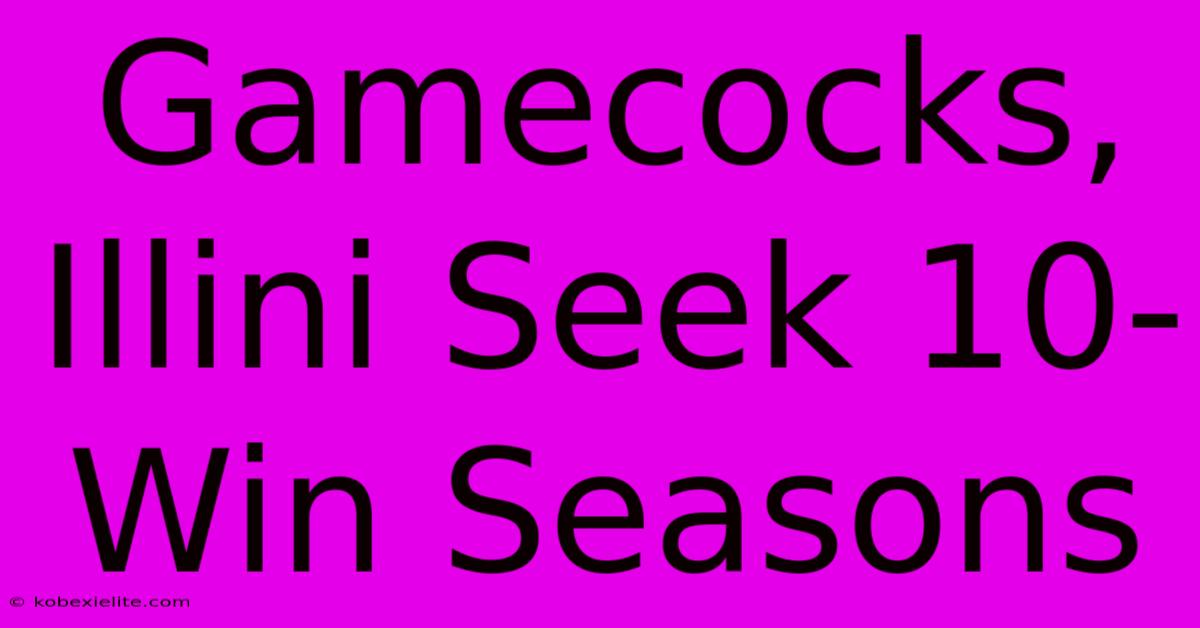 Gamecocks, Illini Seek 10-Win Seasons