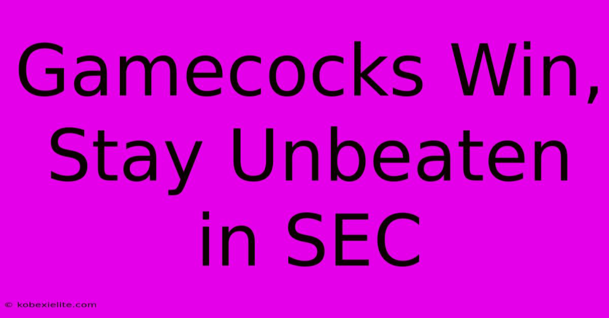 Gamecocks Win, Stay Unbeaten In SEC