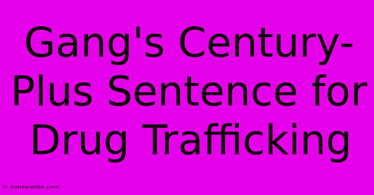 Gang's Century-Plus Sentence For Drug Trafficking