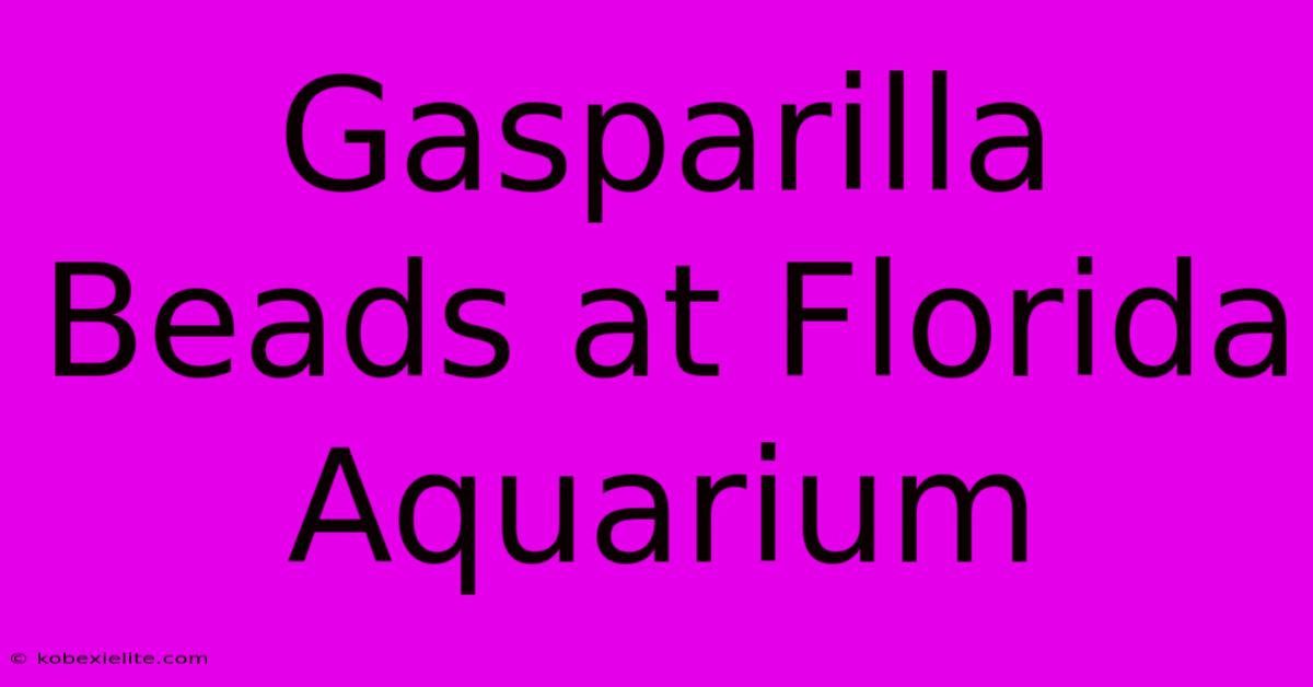 Gasparilla Beads At Florida Aquarium