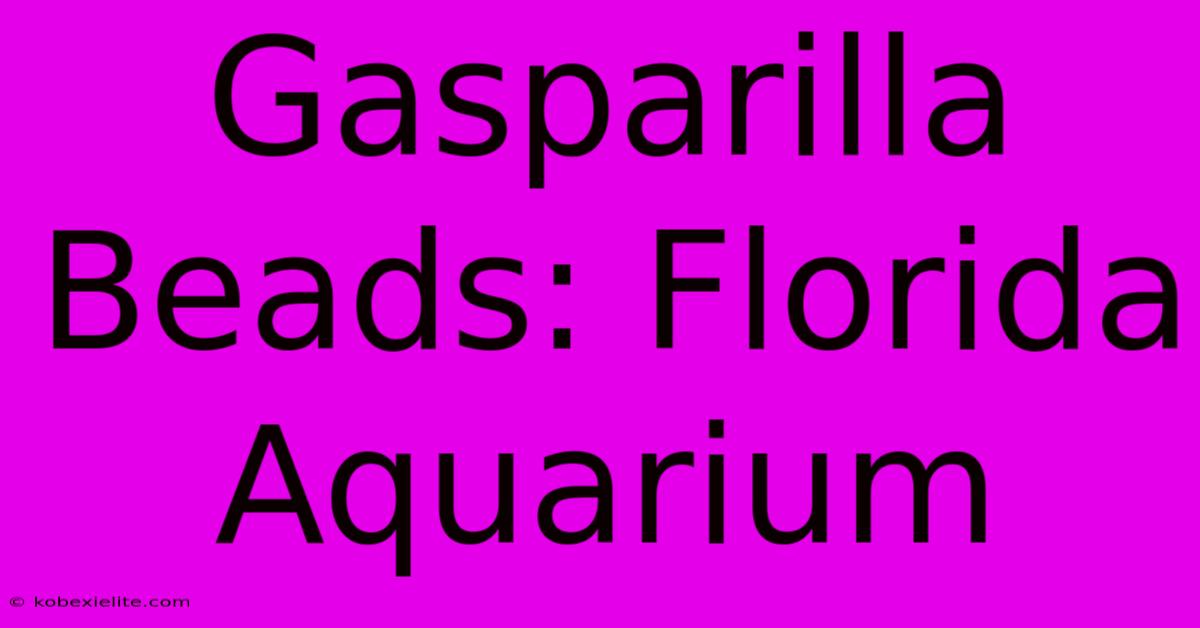 Gasparilla Beads: Florida Aquarium