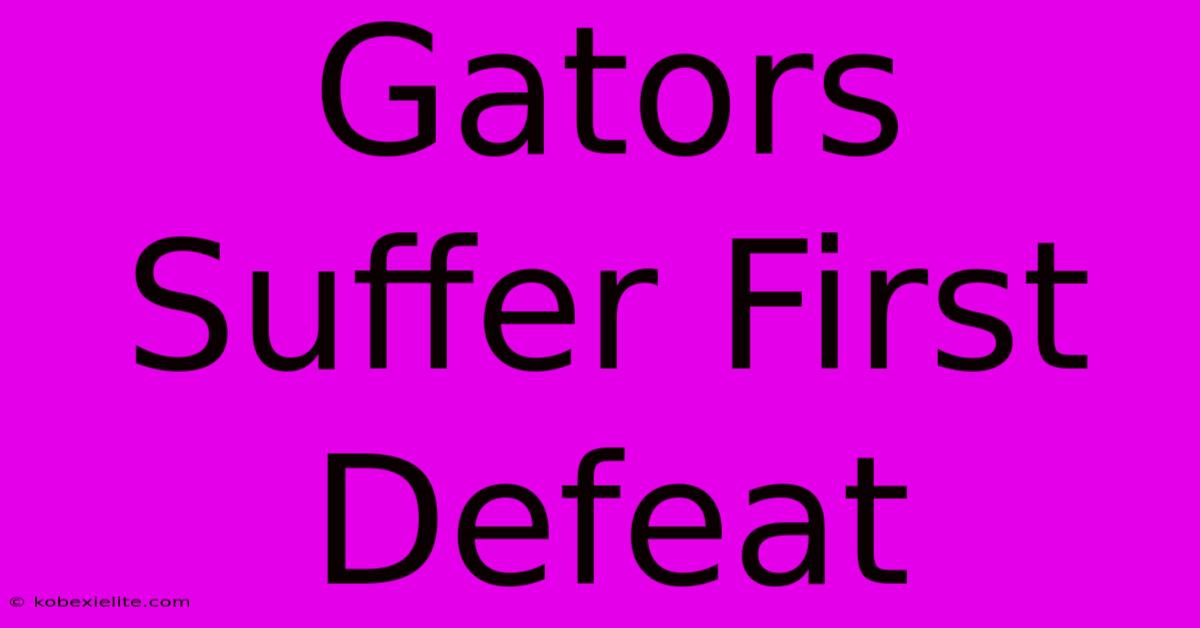 Gators Suffer First Defeat