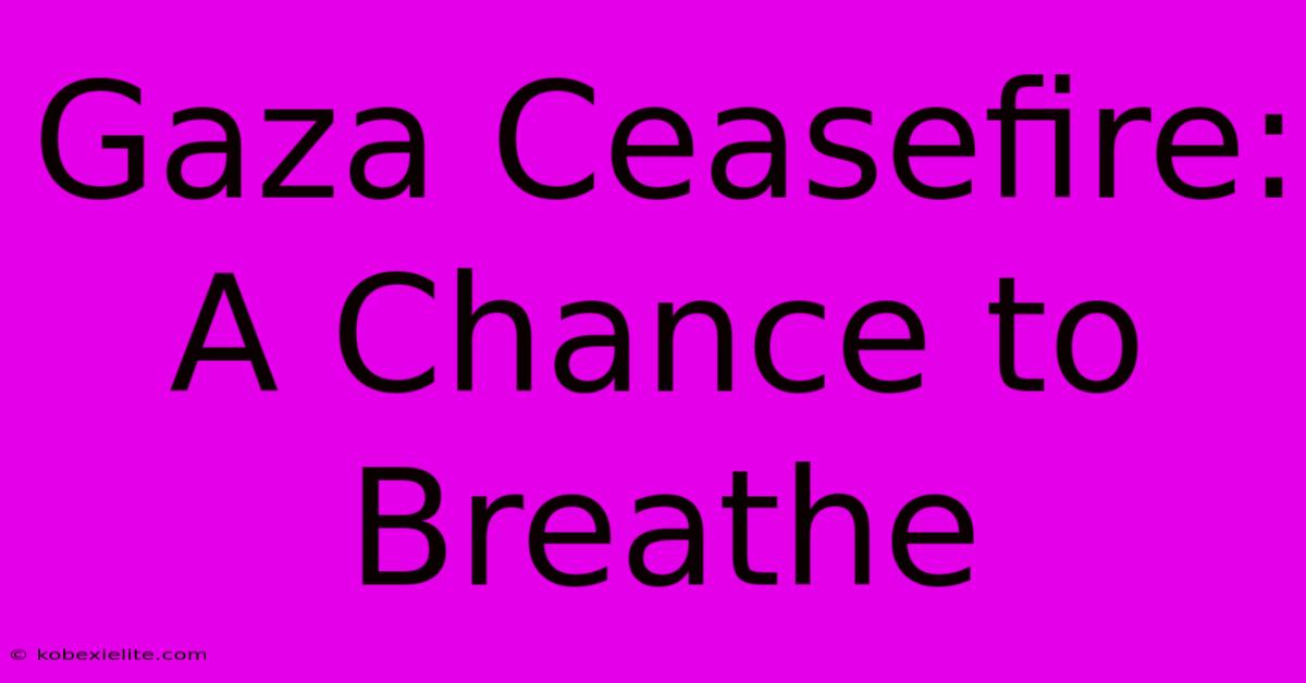 Gaza Ceasefire: A Chance To Breathe