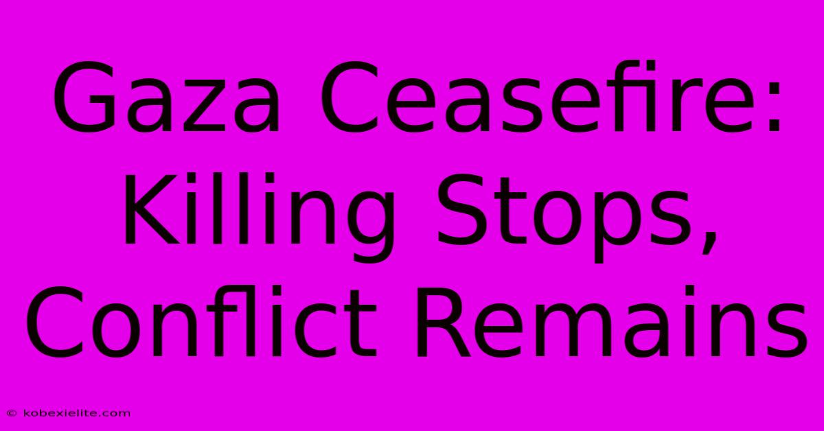 Gaza Ceasefire: Killing Stops, Conflict Remains