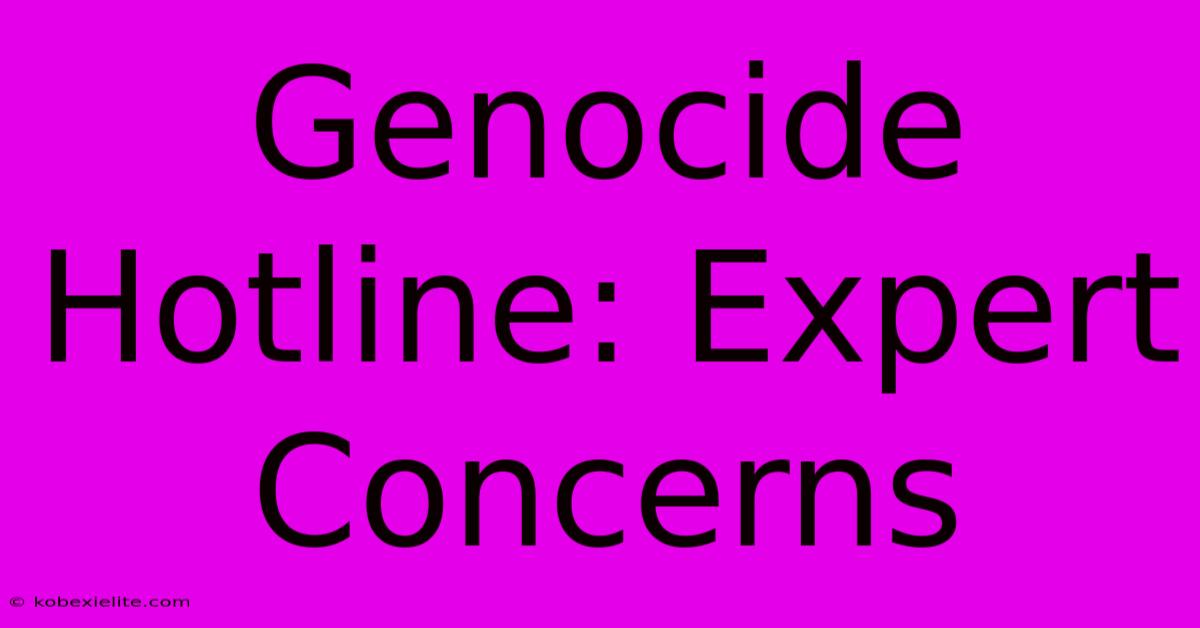 Genocide Hotline: Expert Concerns