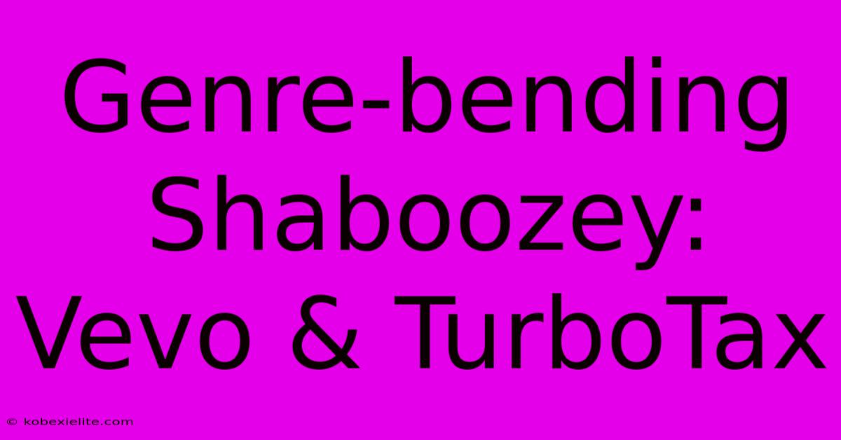 Genre-bending Shaboozey: Vevo & TurboTax