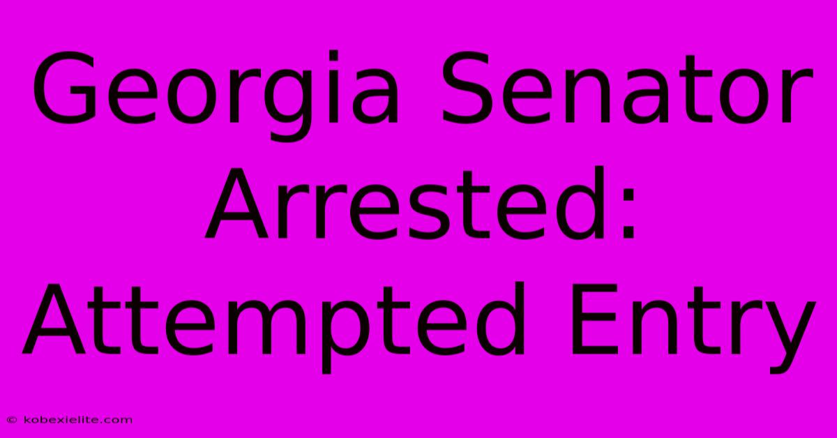 Georgia Senator Arrested: Attempted Entry