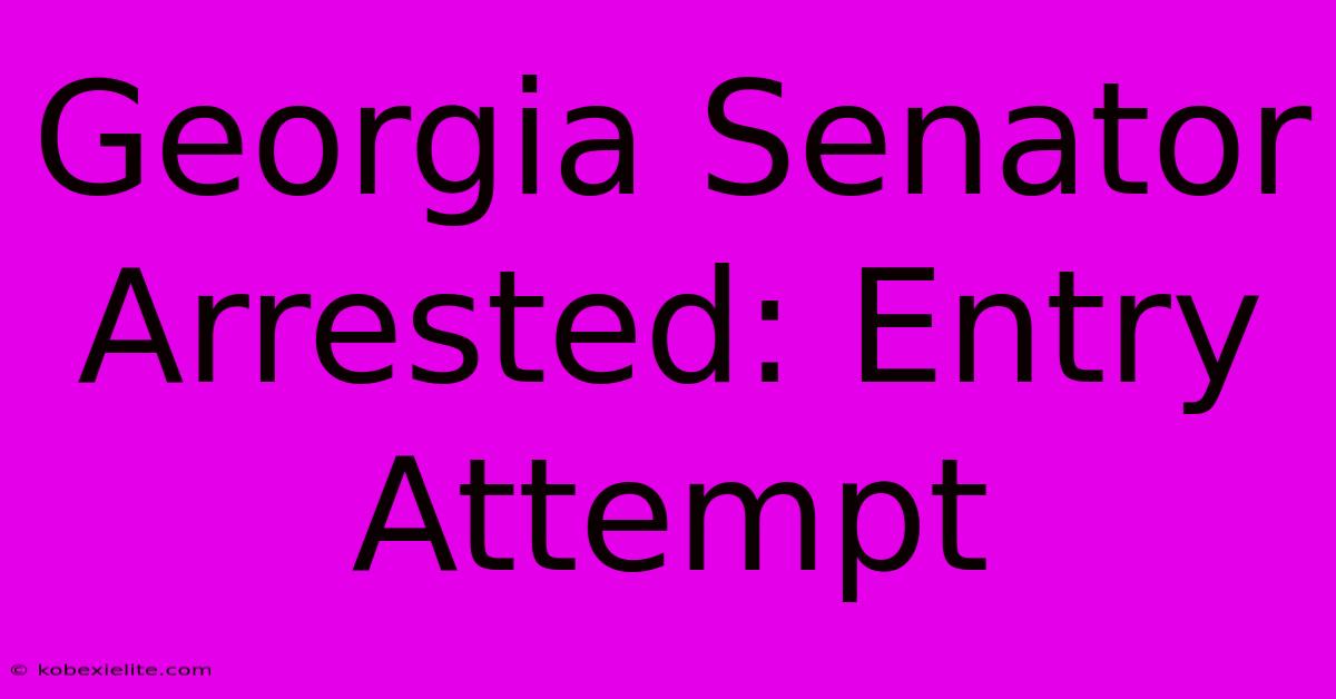 Georgia Senator Arrested: Entry Attempt