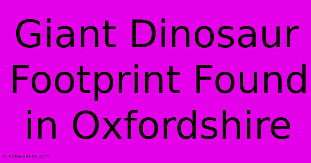 Giant Dinosaur Footprint Found In Oxfordshire