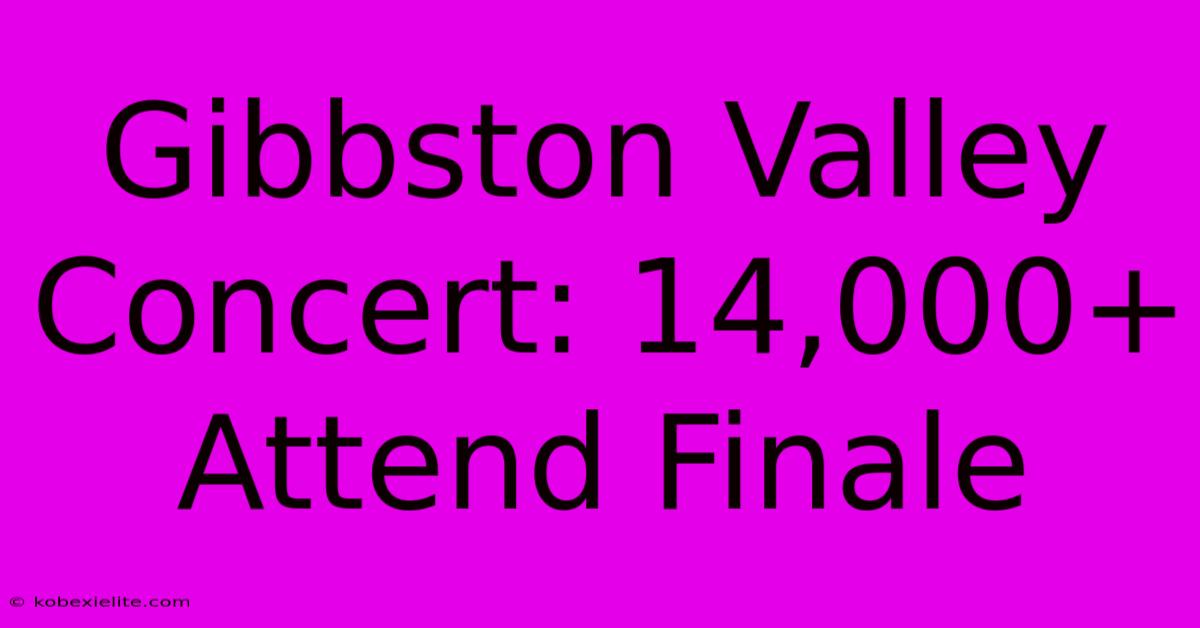 Gibbston Valley Concert: 14,000+ Attend Finale