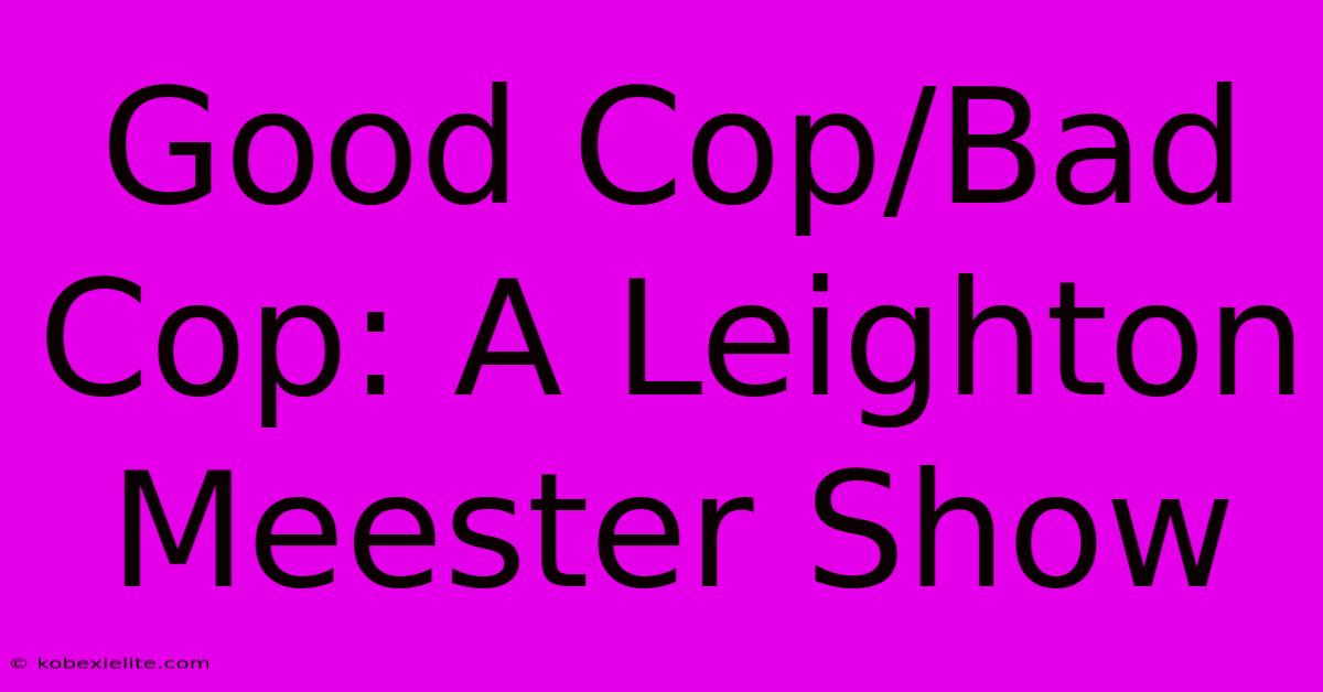 Good Cop/Bad Cop: A Leighton Meester Show