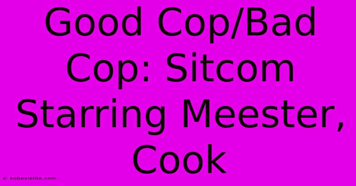 Good Cop/Bad Cop: Sitcom Starring Meester, Cook