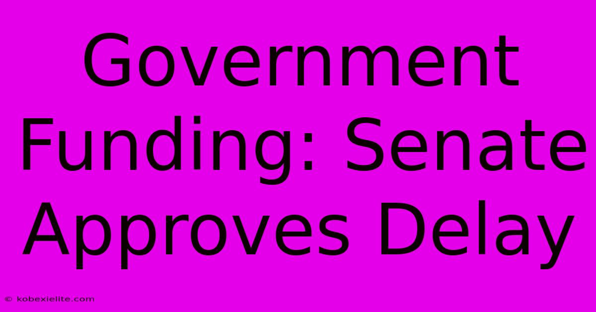 Government Funding: Senate Approves Delay