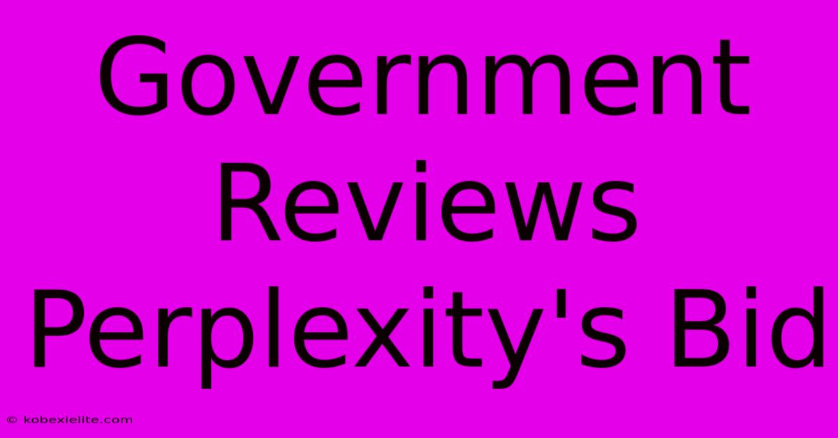 Government Reviews Perplexity's Bid