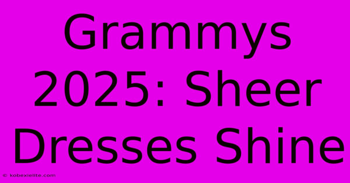 Grammys 2025: Sheer Dresses Shine