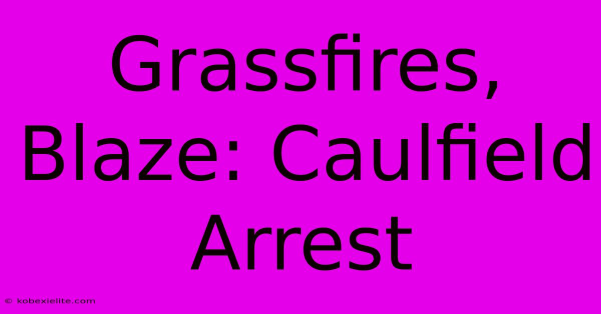 Grassfires, Blaze: Caulfield Arrest