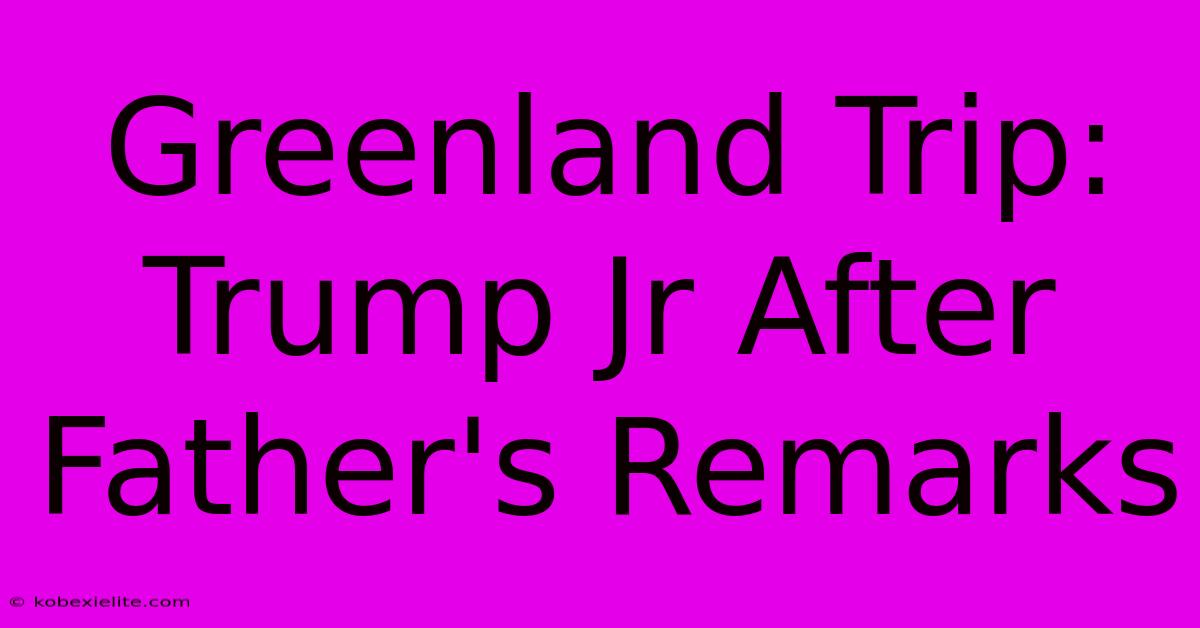 Greenland Trip: Trump Jr After Father's Remarks