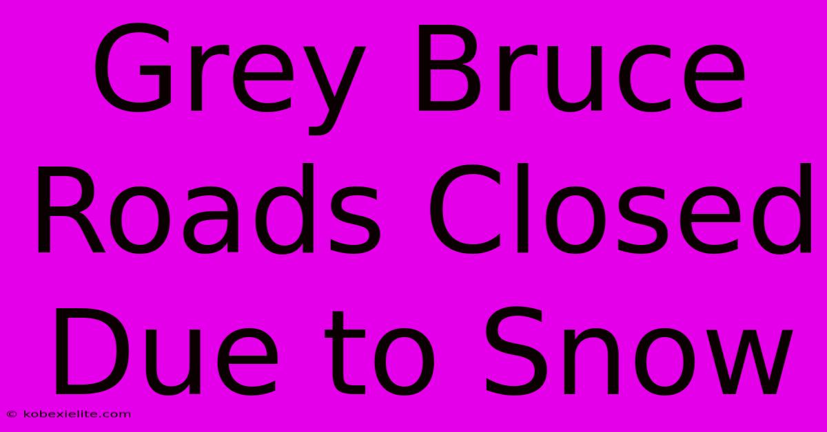 Grey Bruce Roads Closed Due To Snow