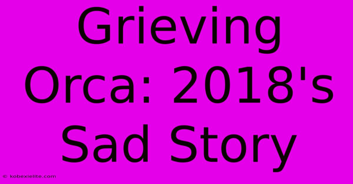 Grieving Orca: 2018's Sad Story