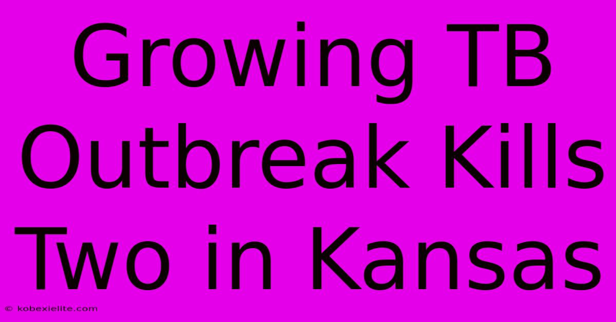 Growing TB Outbreak Kills Two In Kansas