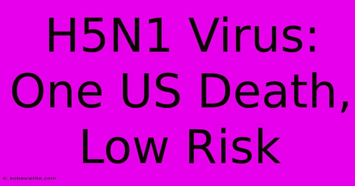 H5N1 Virus: One US Death, Low Risk