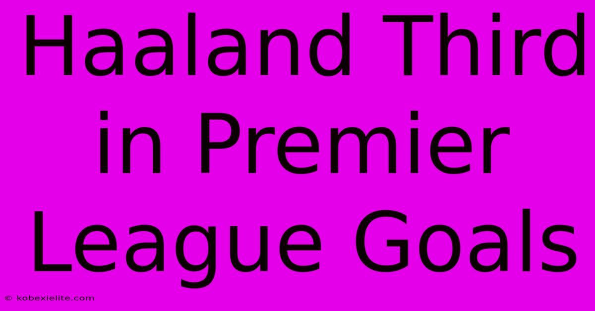 Haaland Third In Premier League Goals