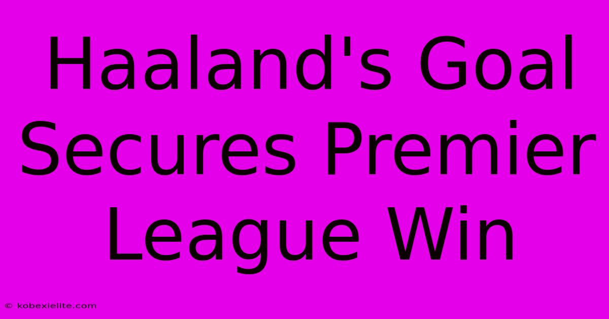 Haaland's Goal Secures Premier League Win