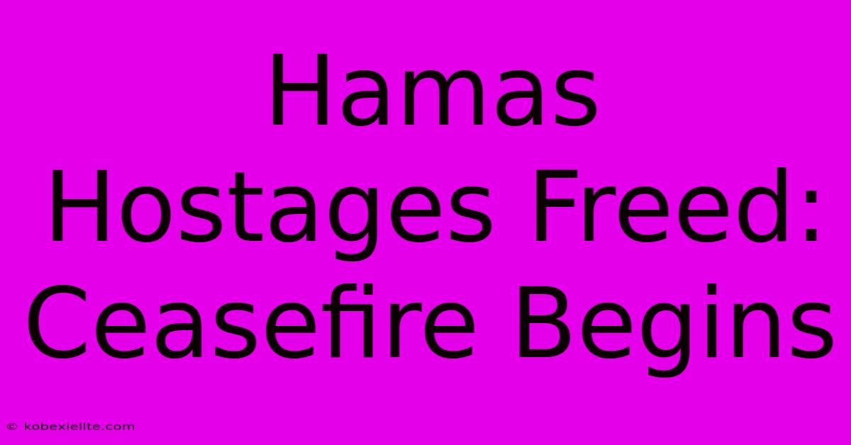 Hamas Hostages Freed: Ceasefire Begins