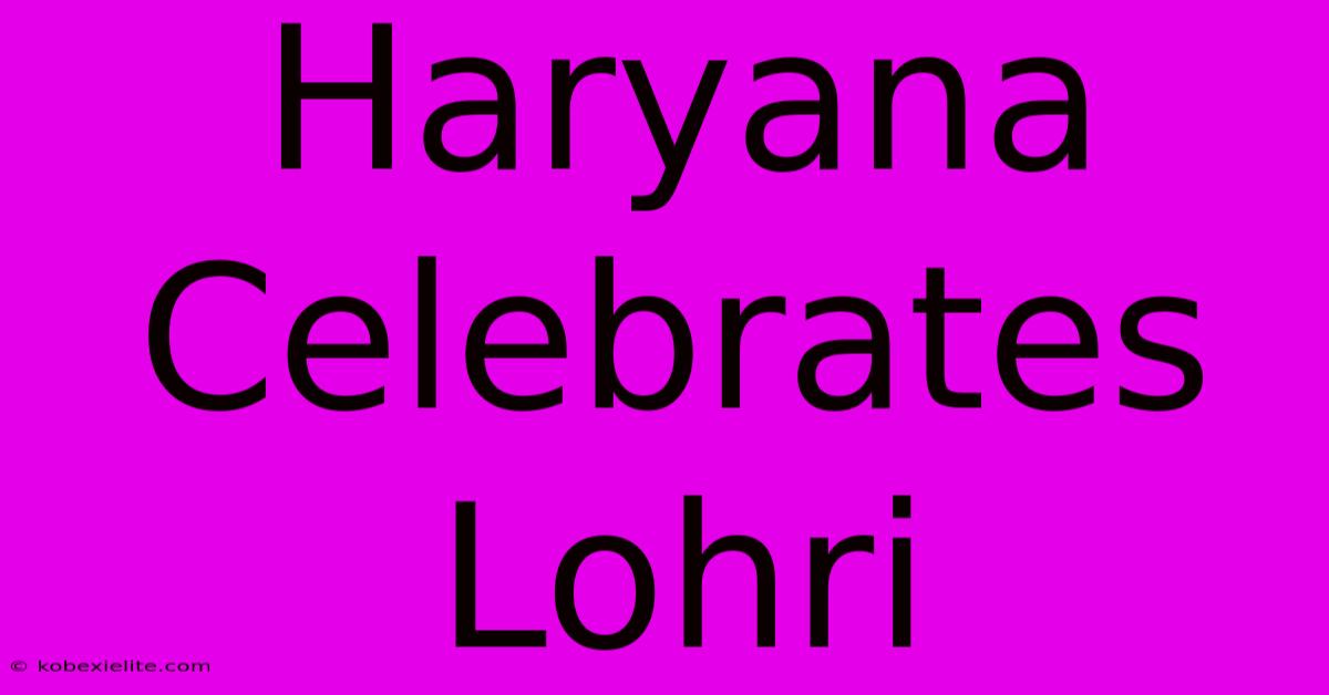 Haryana Celebrates Lohri