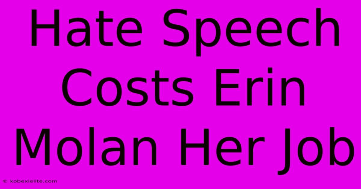 Hate Speech Costs Erin Molan Her Job Hate Speech Costs Erin Molan Her Job