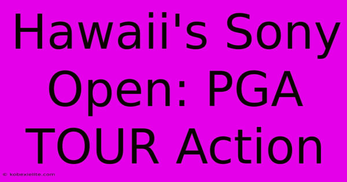 Hawaii's Sony Open: PGA TOUR Action