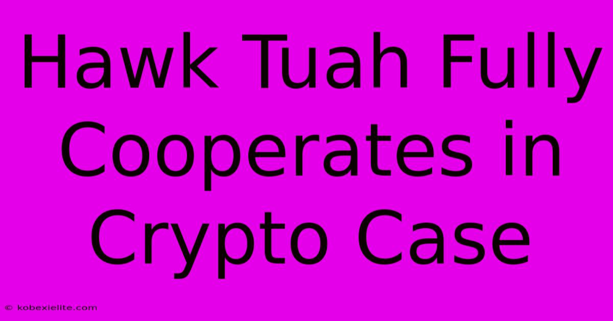 Hawk Tuah Fully Cooperates In Crypto Case