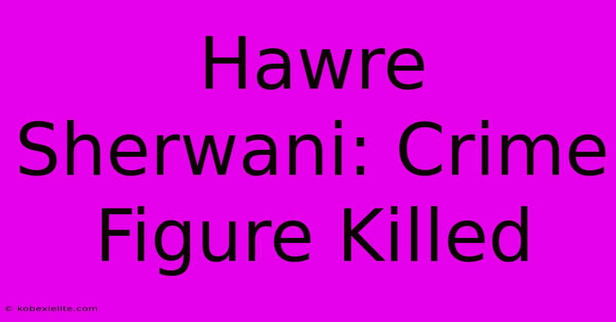 Hawre Sherwani: Crime Figure Killed