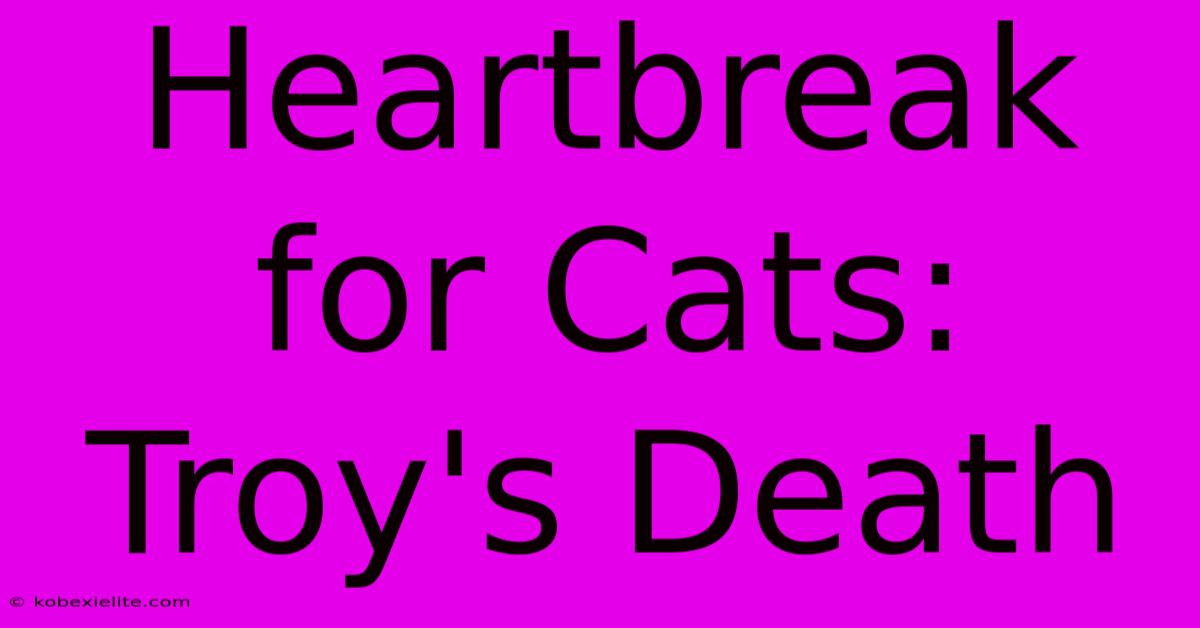 Heartbreak For Cats: Troy's Death