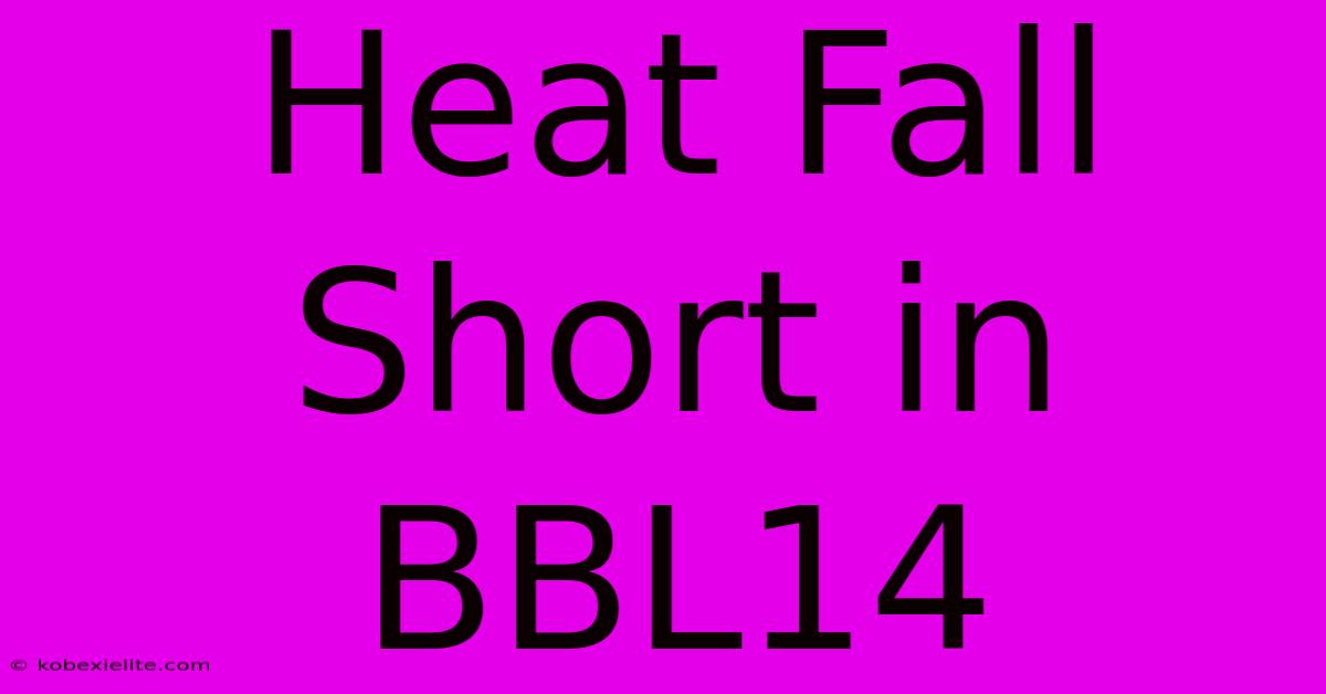 Heat Fall Short In BBL14